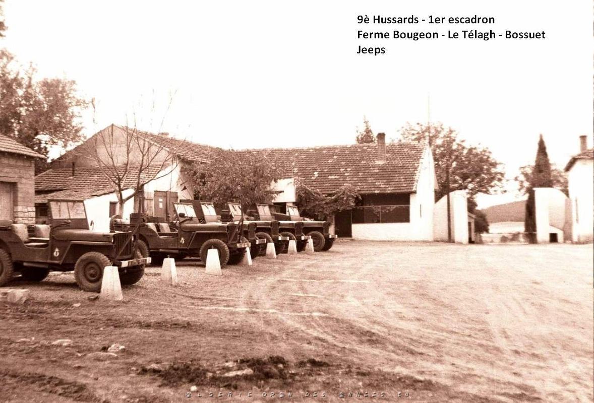 Jeeps- Ferme Bougeon - Le Telagh.jpg
